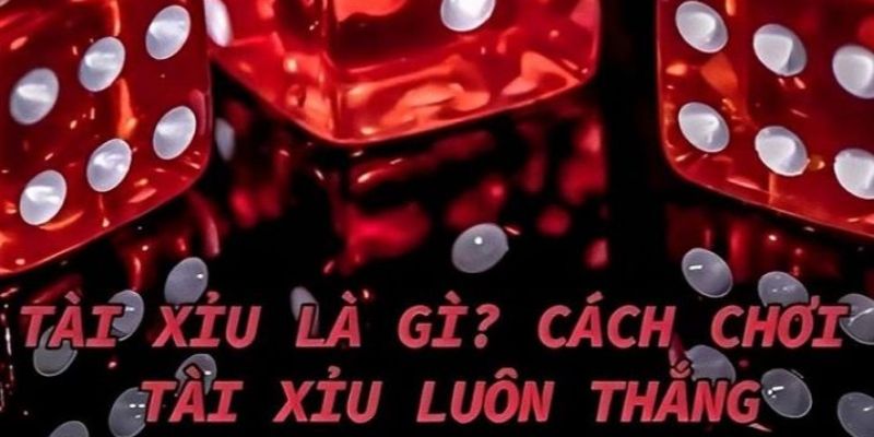 Top 5 cách chơi tài xỉu online luôn thắng mà bạn cần biết